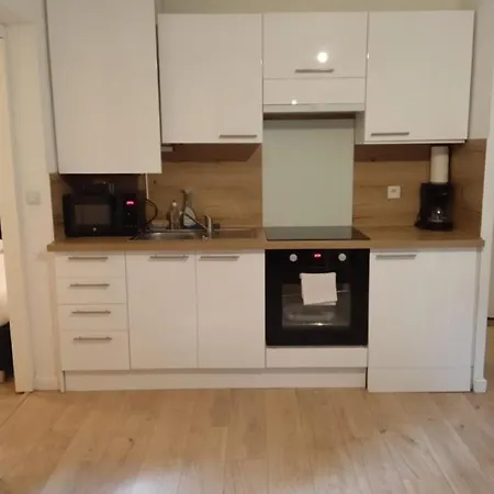 Ferienwohnung Joli T2 Tres Grande Terrasse, Wifi Et Parking Thonon-les-Bains Exterior foto